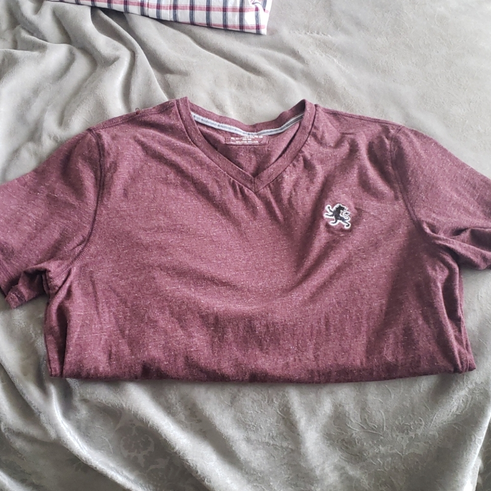 V Neck Express T